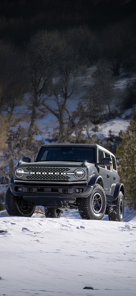 Bronco