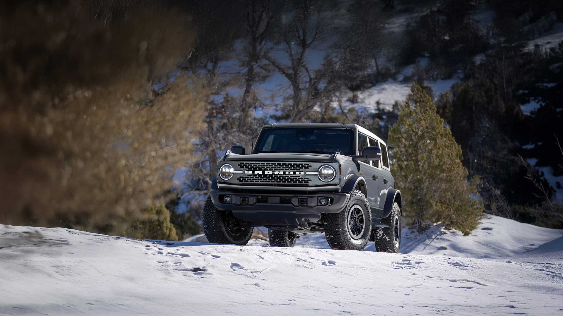 Bronco