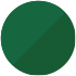 Verde Salvaje