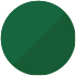 Verde Salvaje
