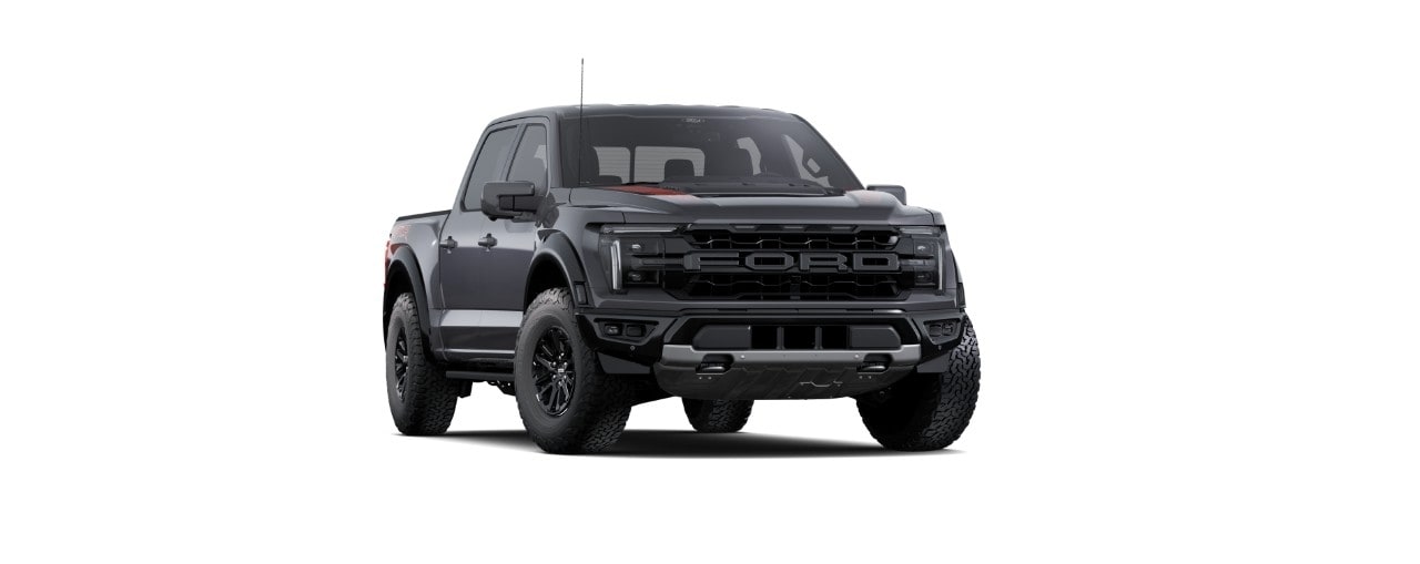 Ford F-150 Raptor Gris Avalancha