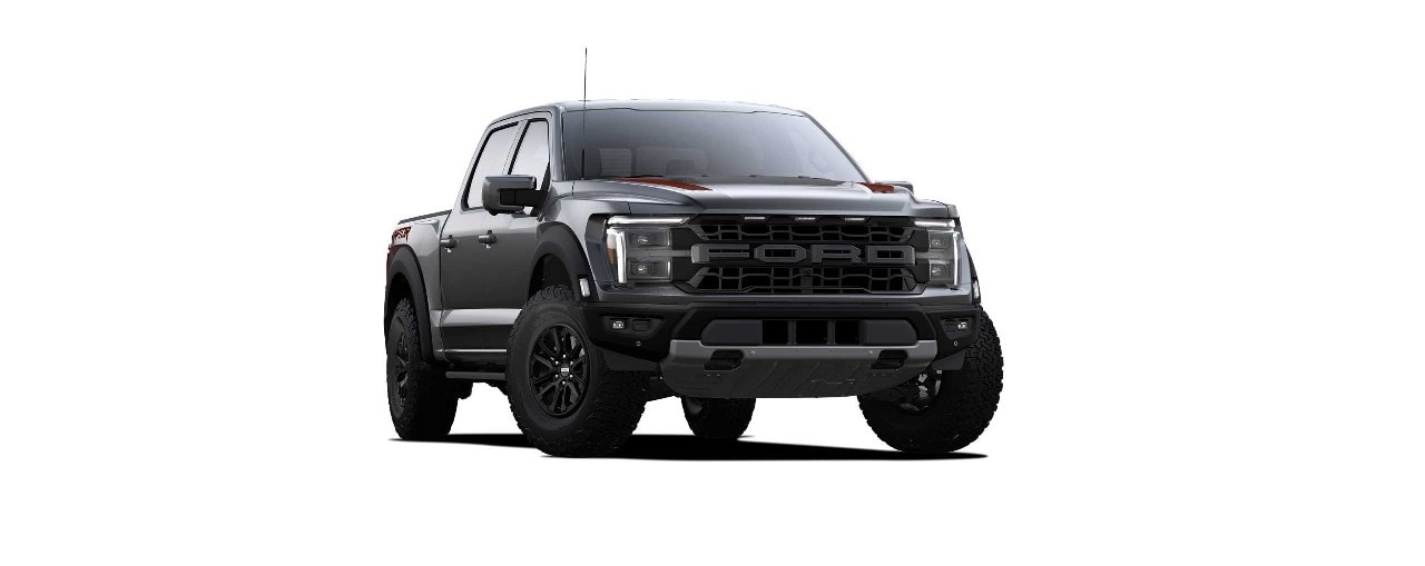 Ford F-150 Raptor Gris Avalancha