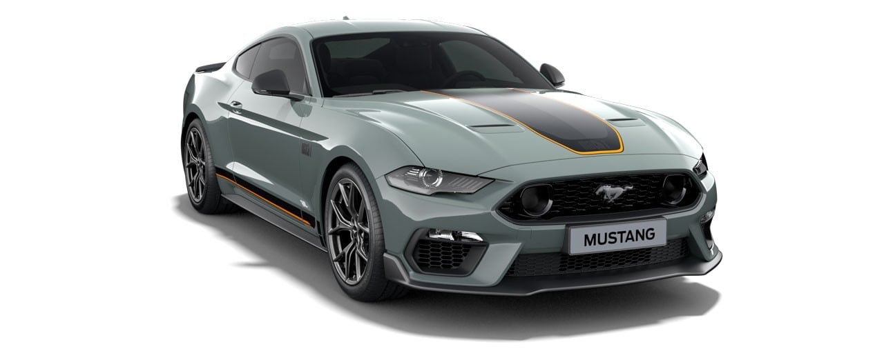 Ford Mustang Mach 1 Fighter Jet Gray