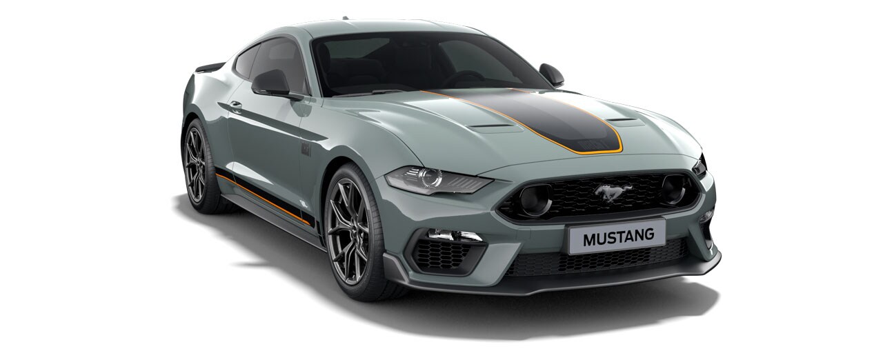 Ford Mustang Mach 1 Fighter Jet Gray