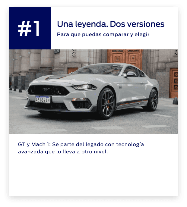 cotizaciones mustang