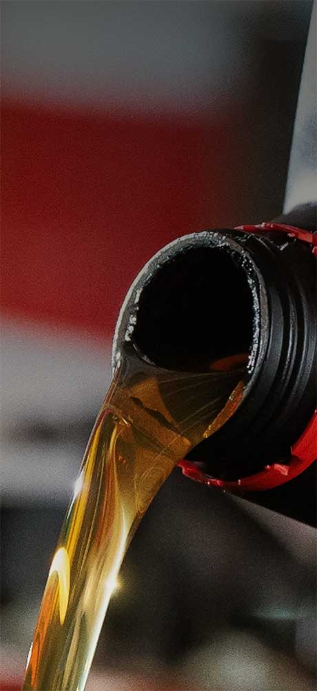 Programa de mantenimientos