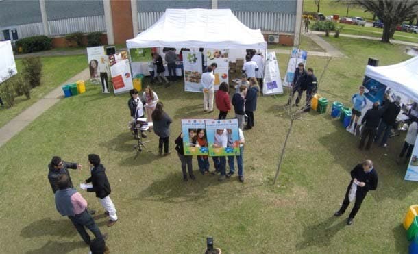 PILARES DE SALUD (PLANTA PACHECO)