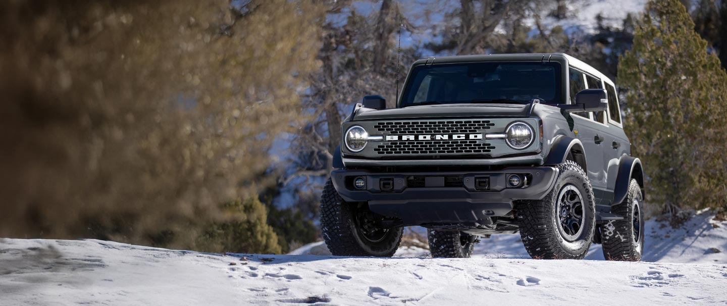 Nueva Bronco Wildtrack Cactus Grey en el bosque