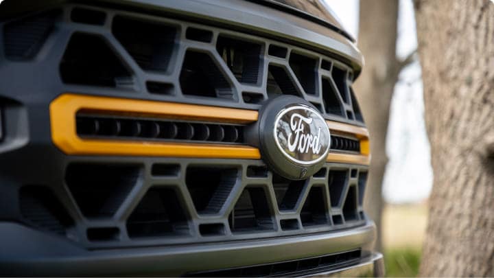Parrilla exclusiva con detalles naranjas de la F-150 Tremor