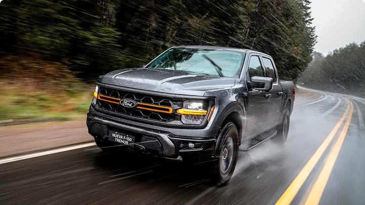Ford F-150 Tremor en gris oscuro