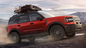 Portaequipaje tipo Canasta con Red