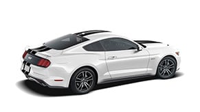 Kit Completo Vinilo Negro Mate Doble Linea