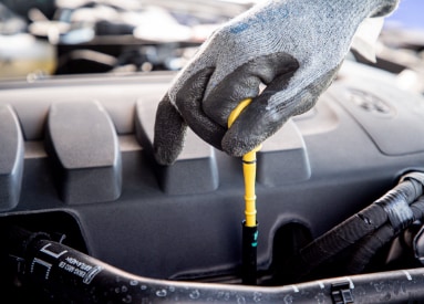 Mantenimientos Programados