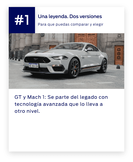 Mustang - Cards